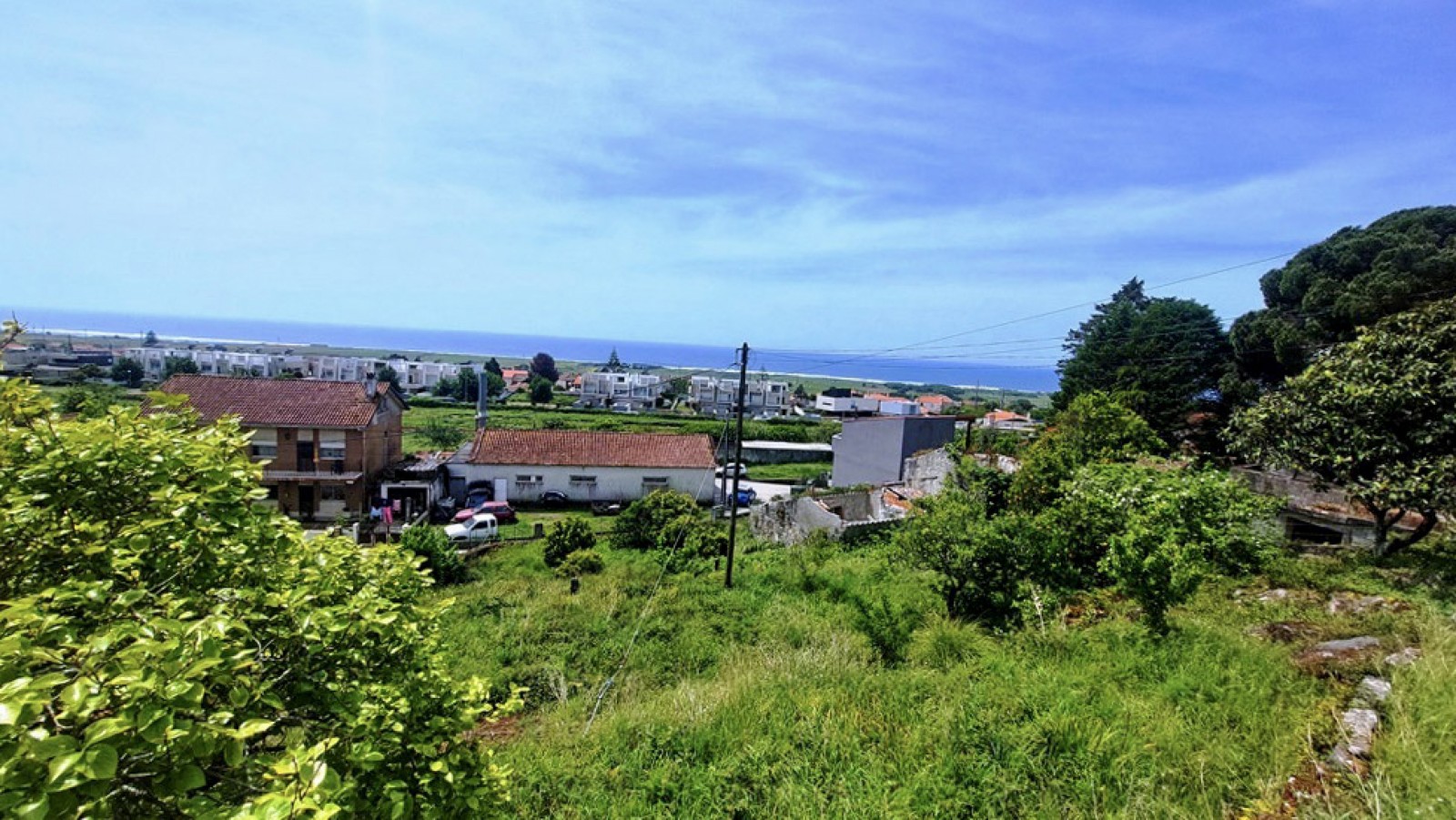 12-20260423-134432jpg