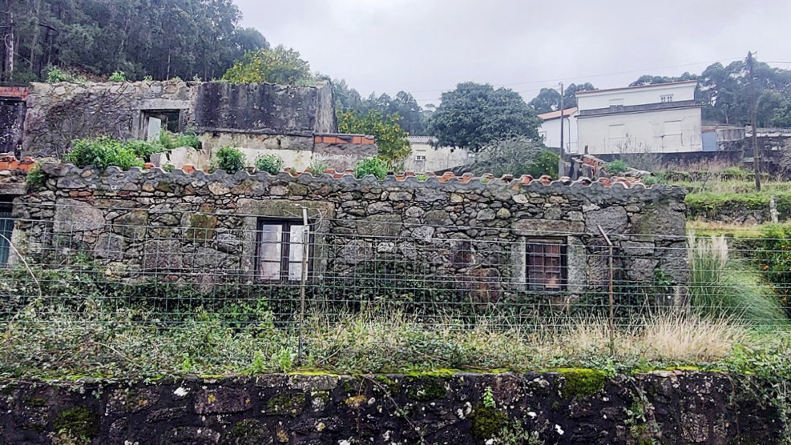 15-20260122-104341jpg