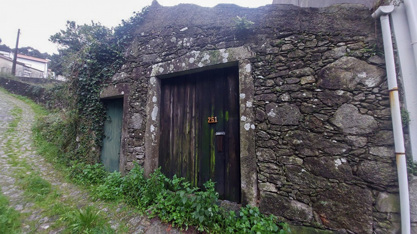 16-20260122-104241-001jpg