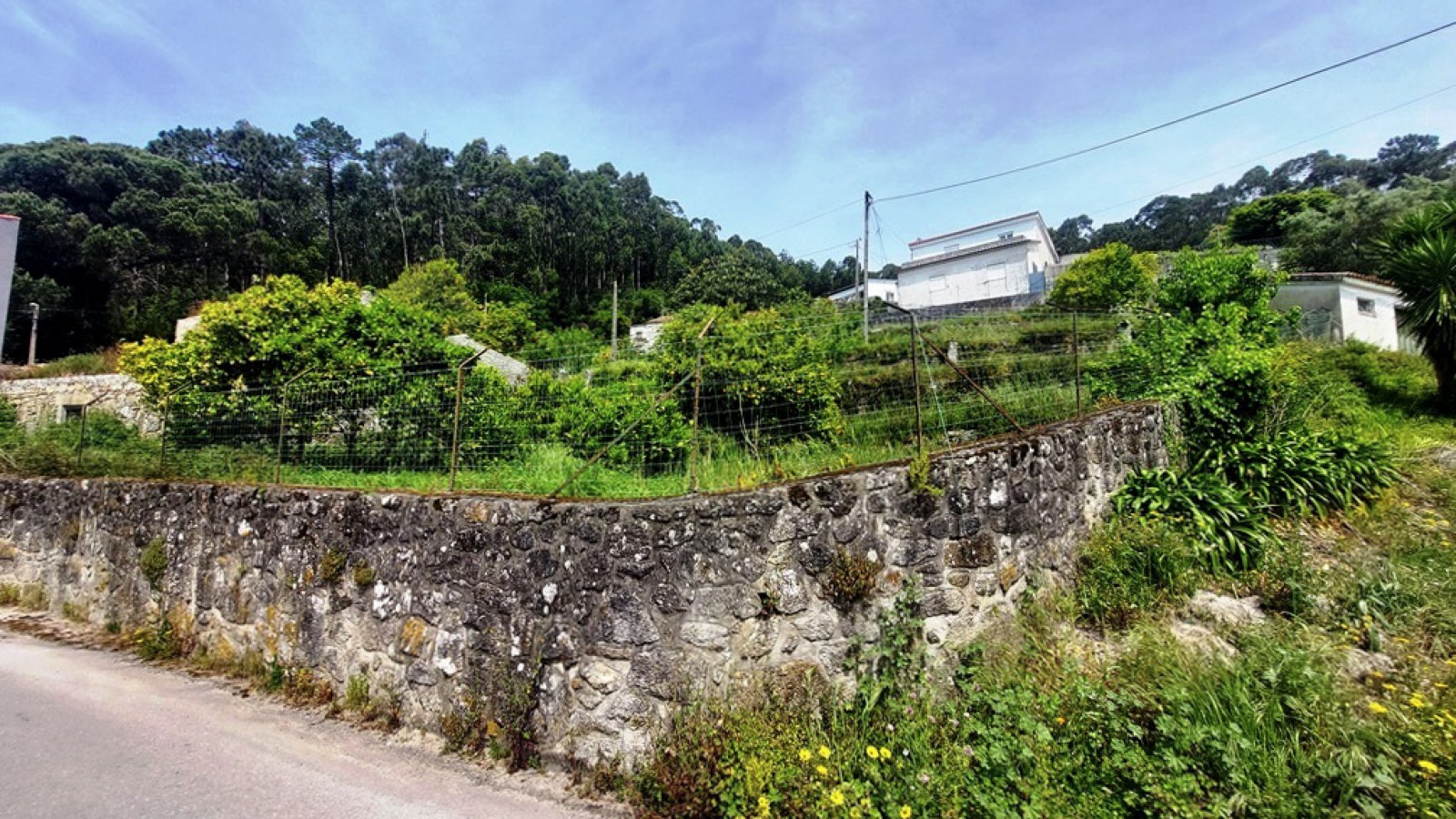 14-20260423-134227jpg