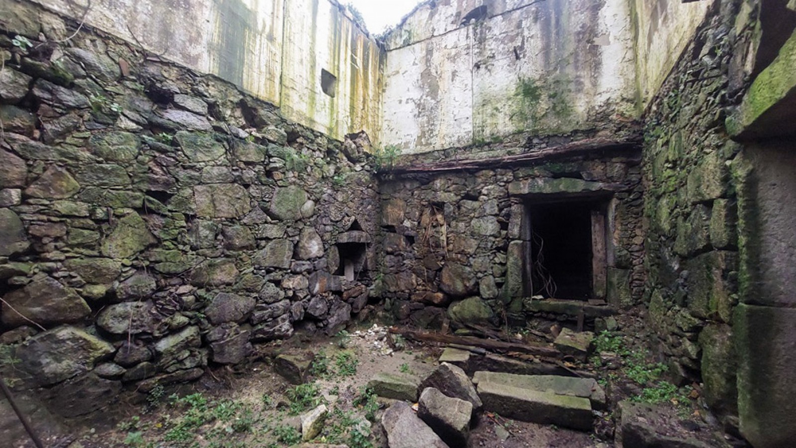 17-20260122-102236-001jpg