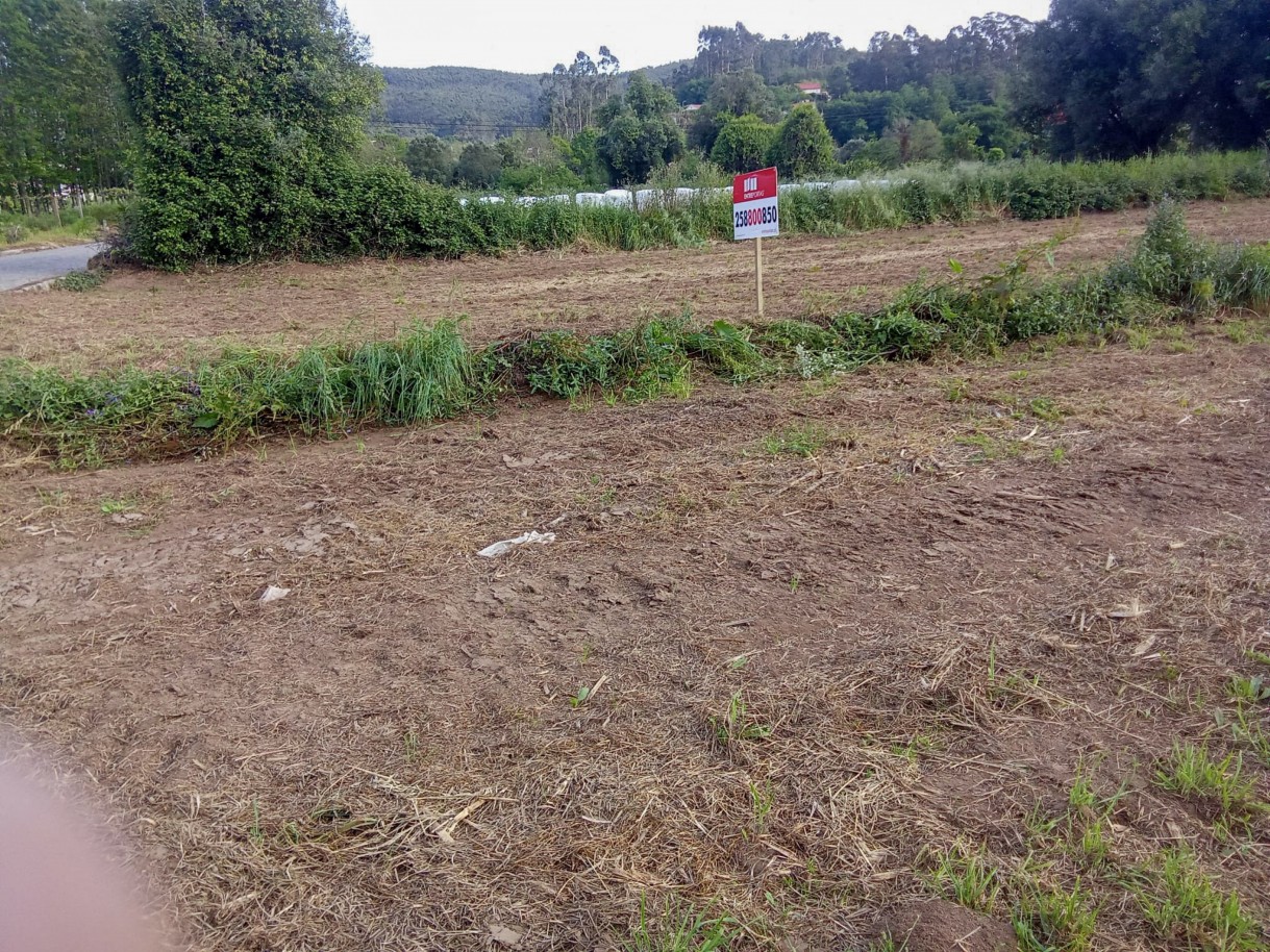 1-whatsapp-image-2026-04-27-at-11jpg