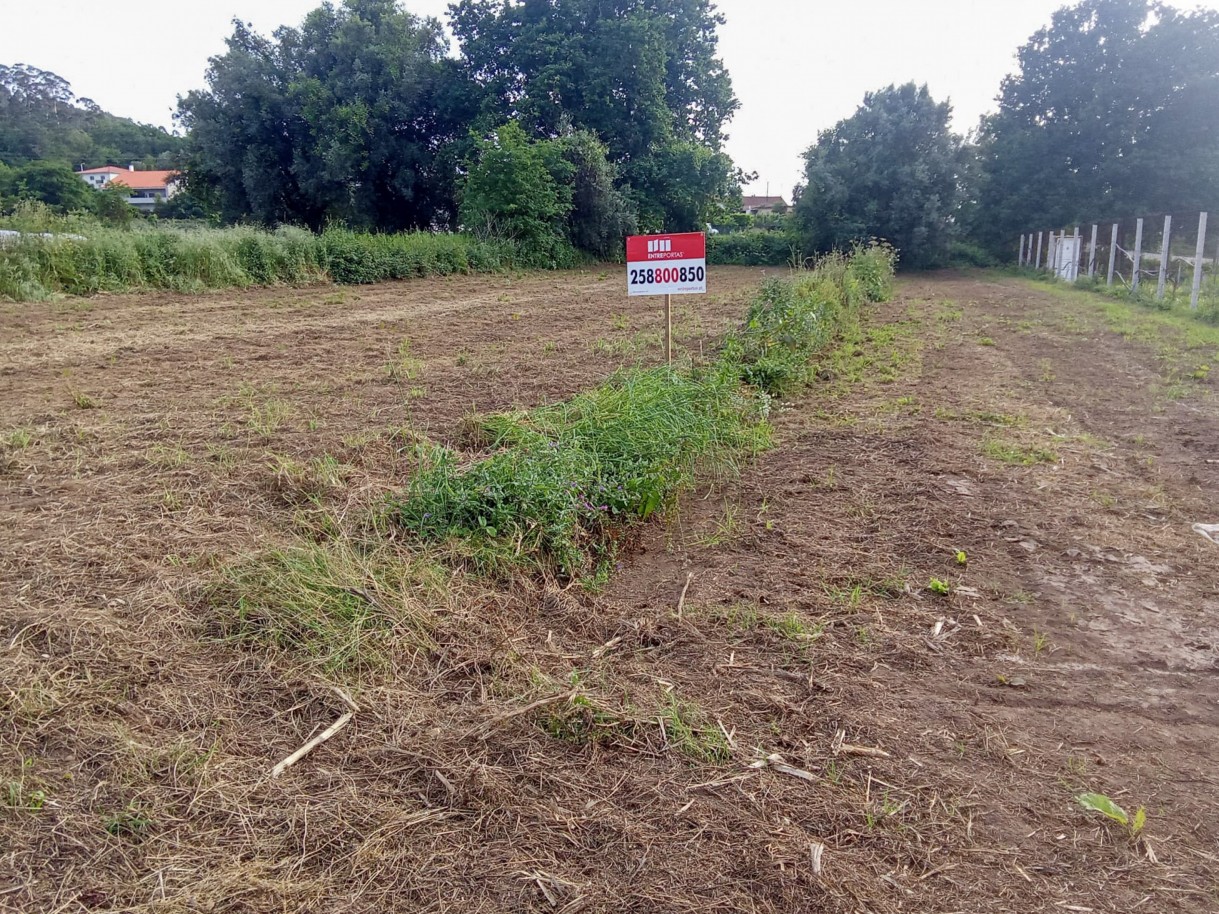 2-whatsapp-image-2026-04-27-at-11jpg