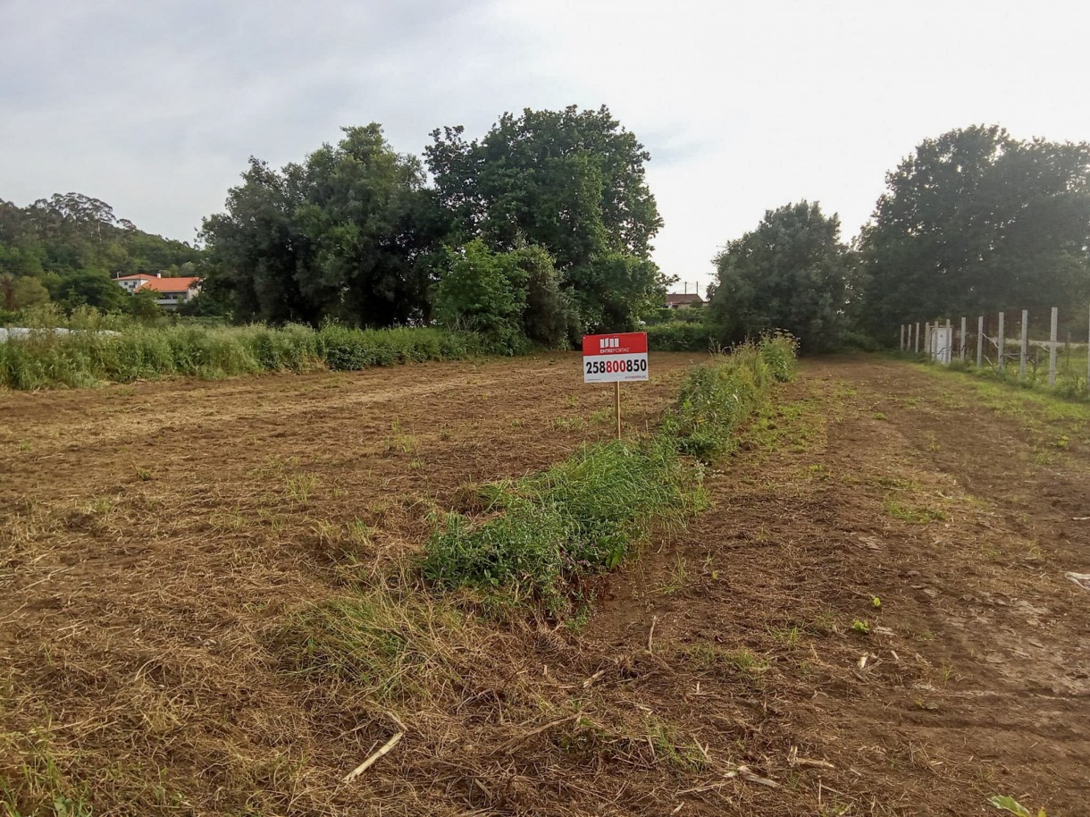 6-whatsapp-image-2026-04-27-at-11jpg