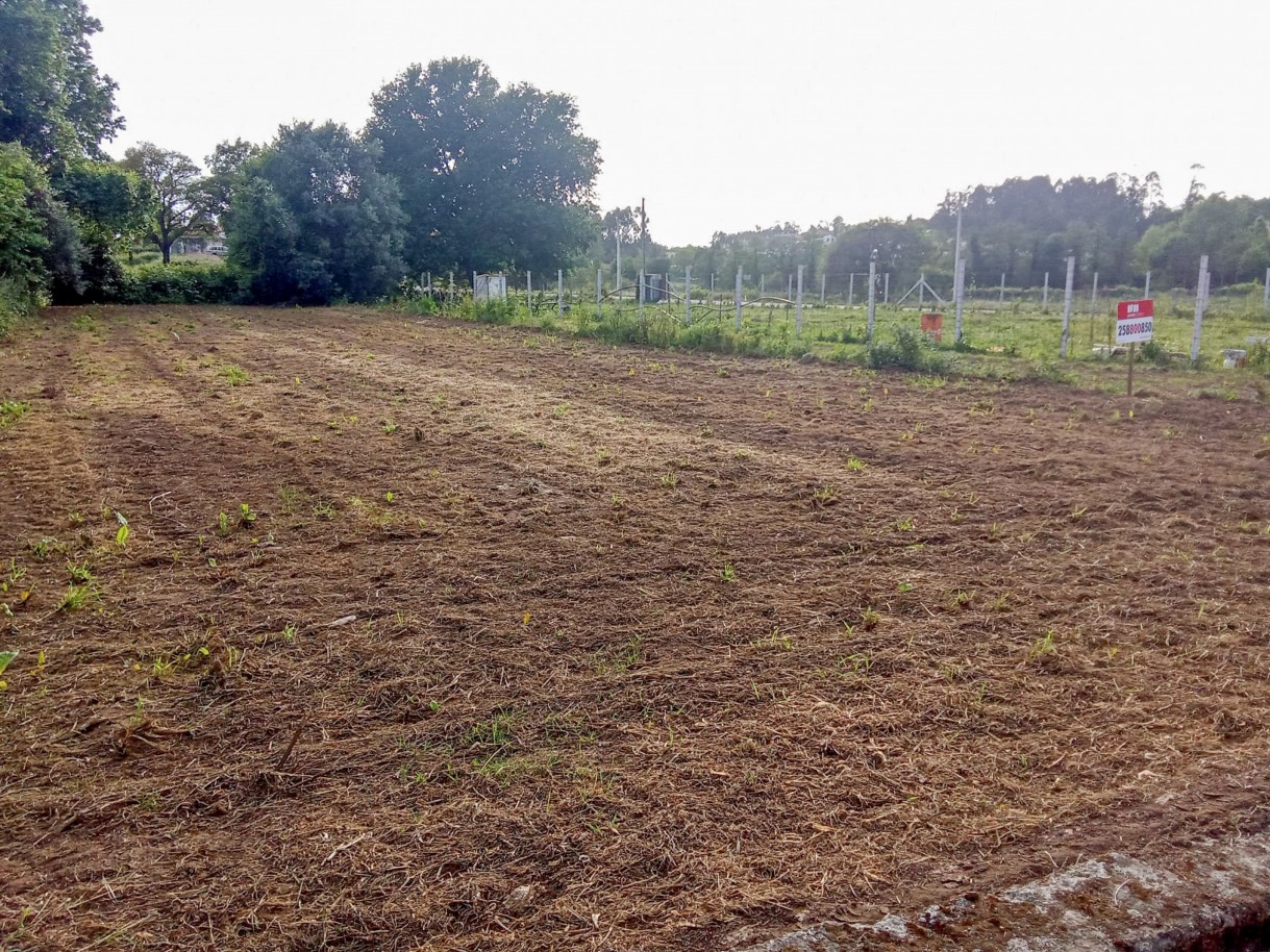 5-whatsapp-image-2026-04-27-at-11jpg