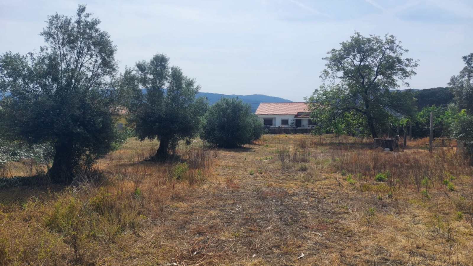 4aebc3ec-afe6-4e01-99f6-dc7f0b2764e7jpeg