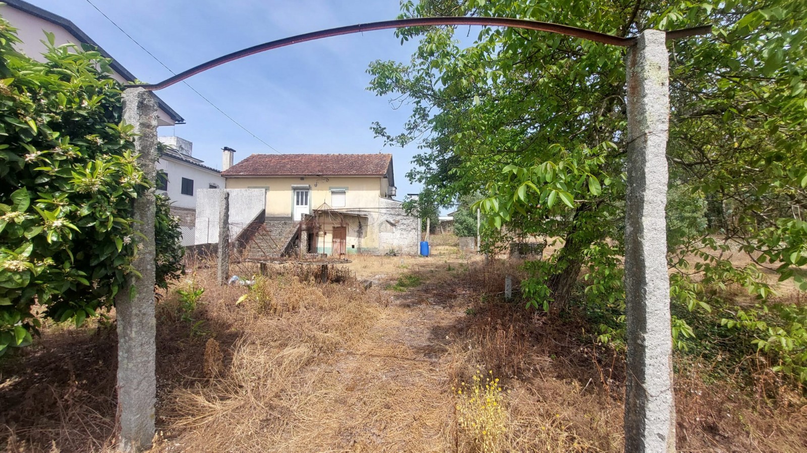 6a78e0c9-eaca-4c22-9730-5bfe3ca9b19bjpeg