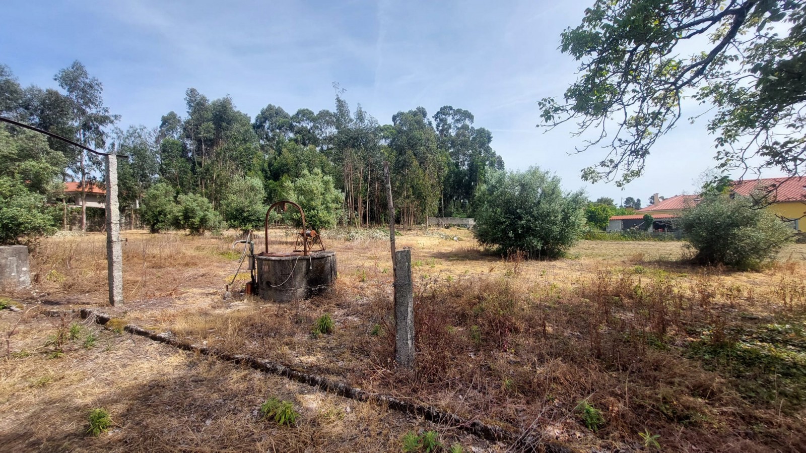 6fbb121a-6743-4ae0-9228-6c28ec328f1bjpeg