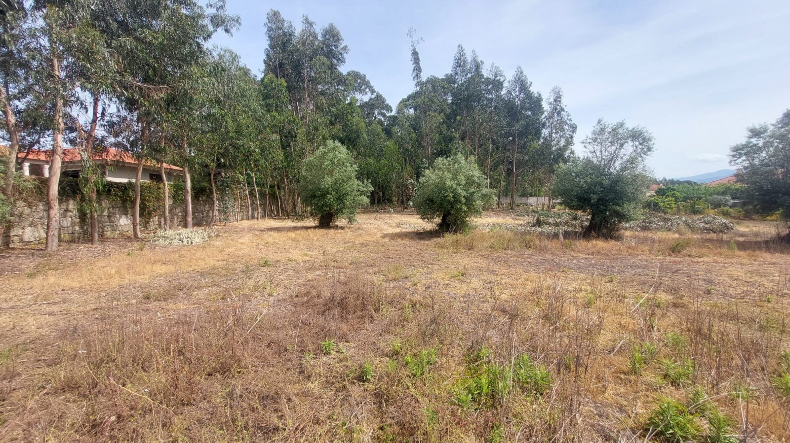 6fdda1f2-b19b-4908-8d2d-98f1a811df03jpeg