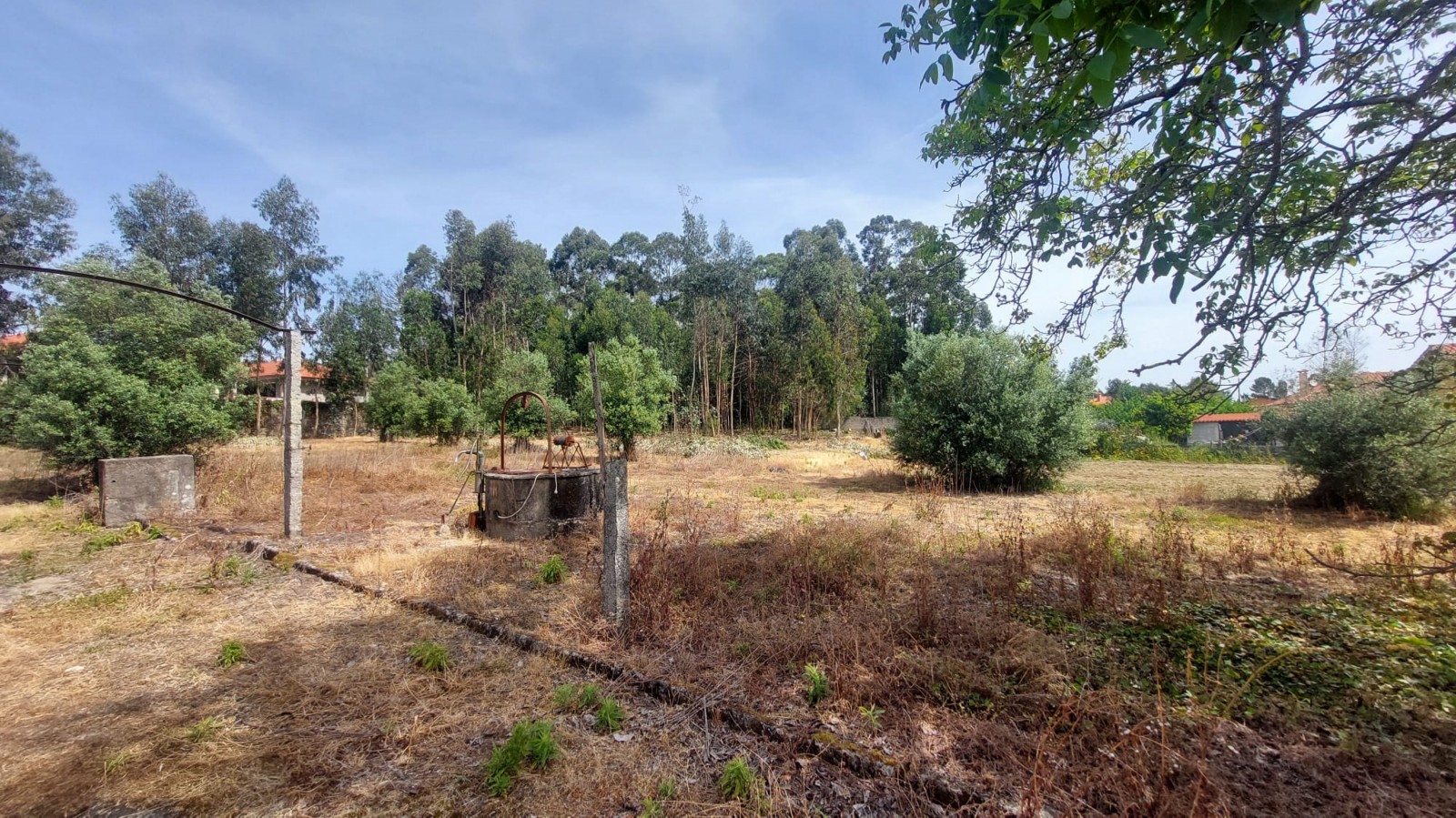 9a21dad7-9166-4180-9461-7eae7be20d3djpeg