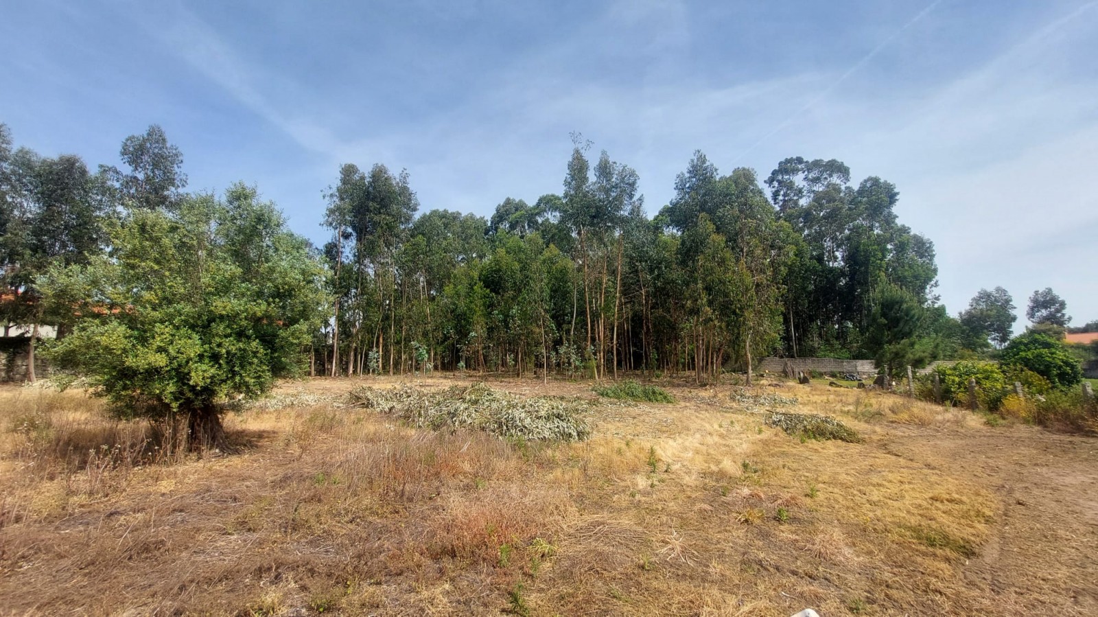 2394ab22-cc43-451a-ad83-9184d4071e6fjpeg