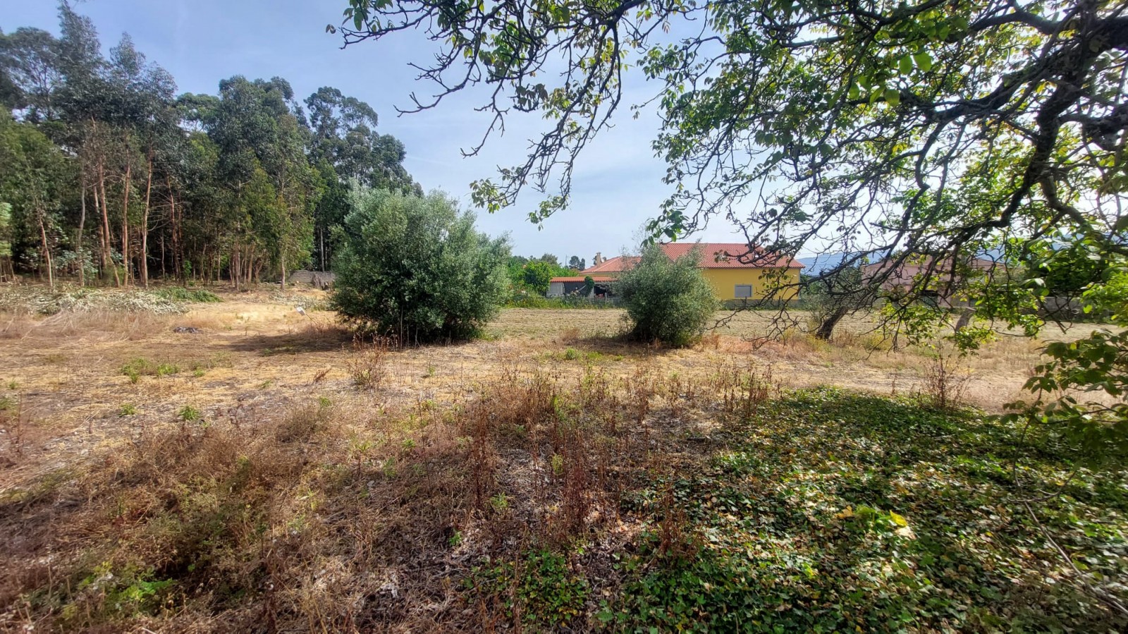 2716c710-925d-4ac3-8ba3-5200dc212b7fjpeg