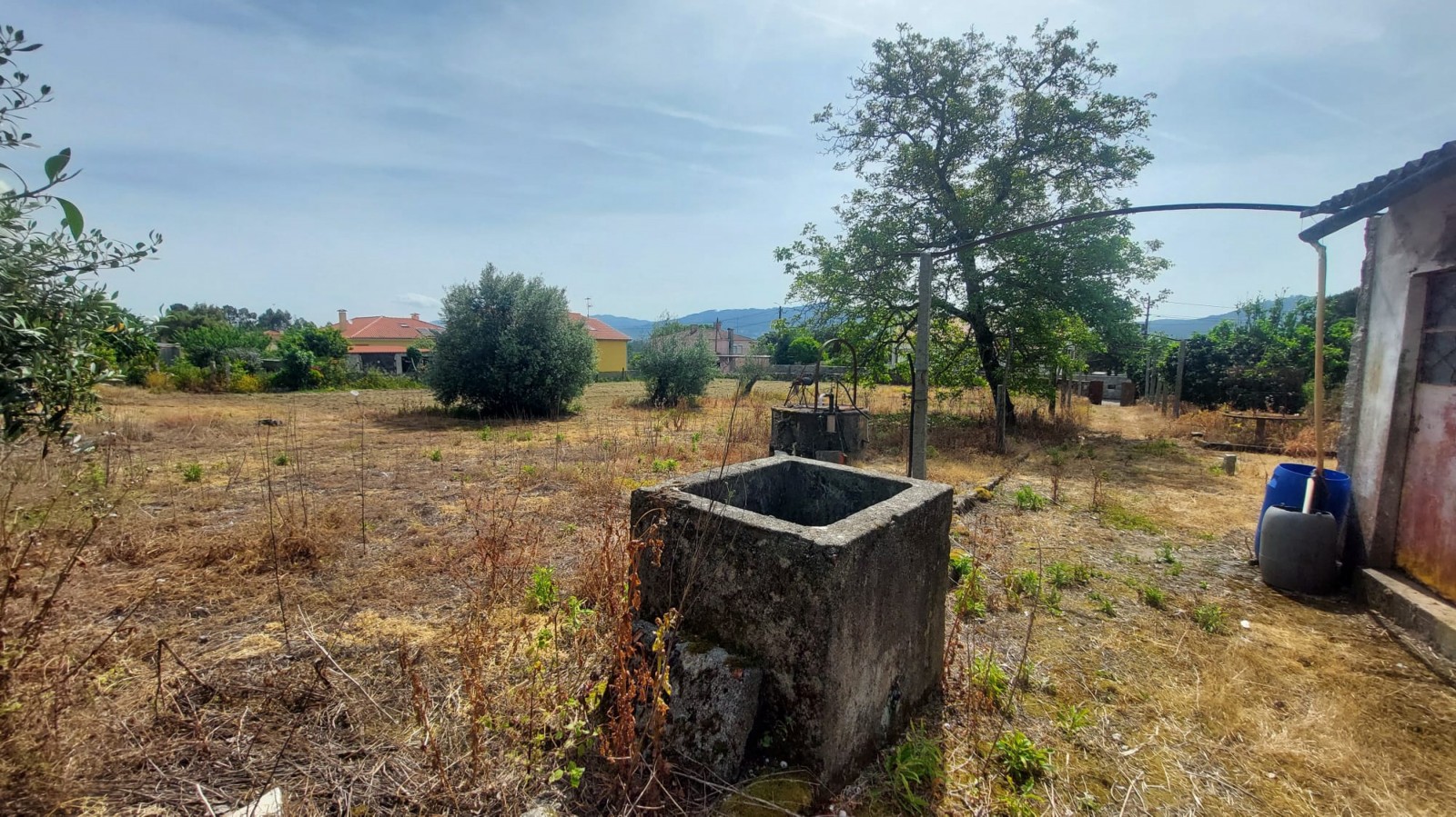 bd36a89b-c74f-4c67-a680-f5d332846434jpeg