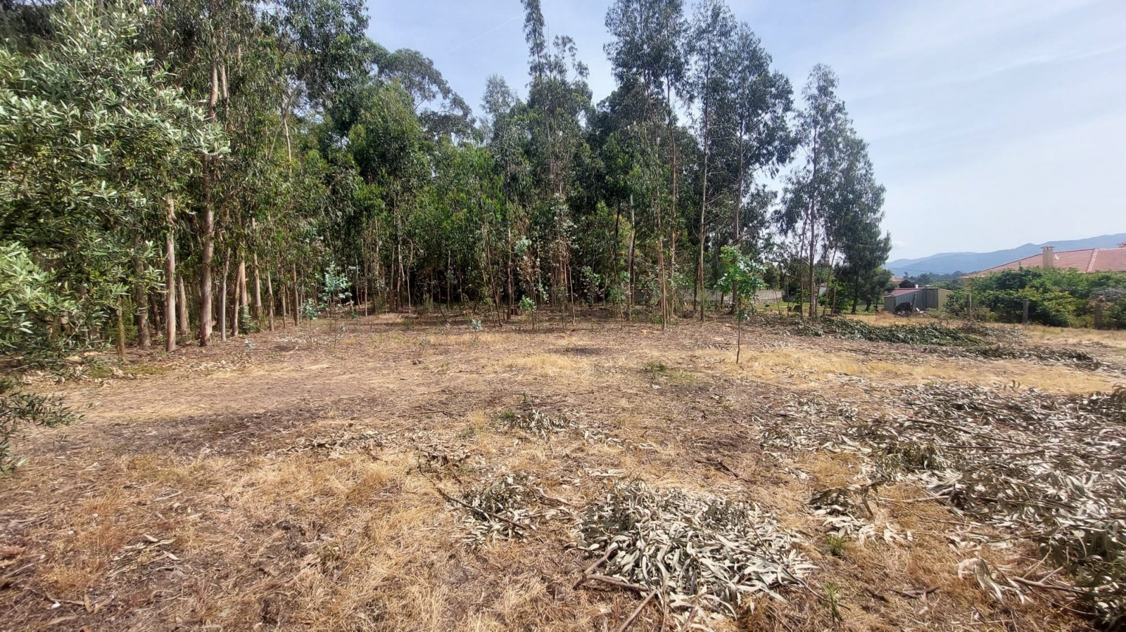 cbecdcba-7241-4c1a-82f0-dd676ed3214djpeg