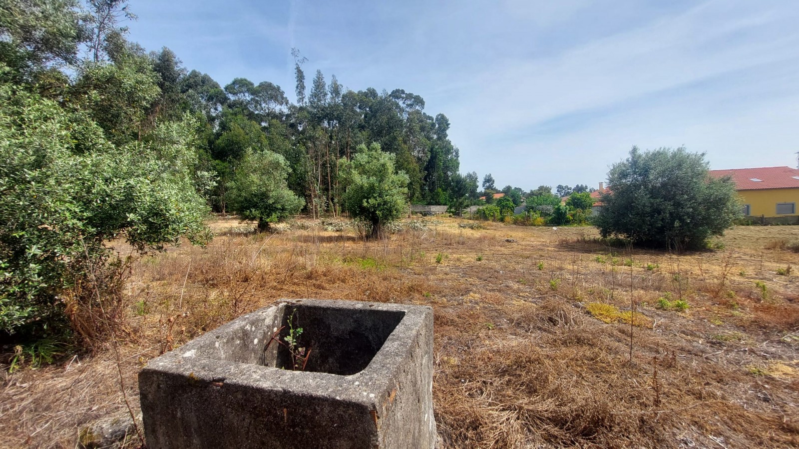 e8590e5e-1fb2-4d31-99f2-72a5babf3b39jpeg