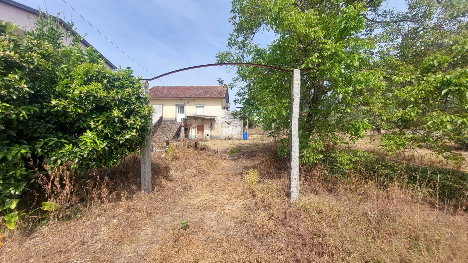 d7307f8b-686c-41c4-96e2-f5b861161c2djpeg