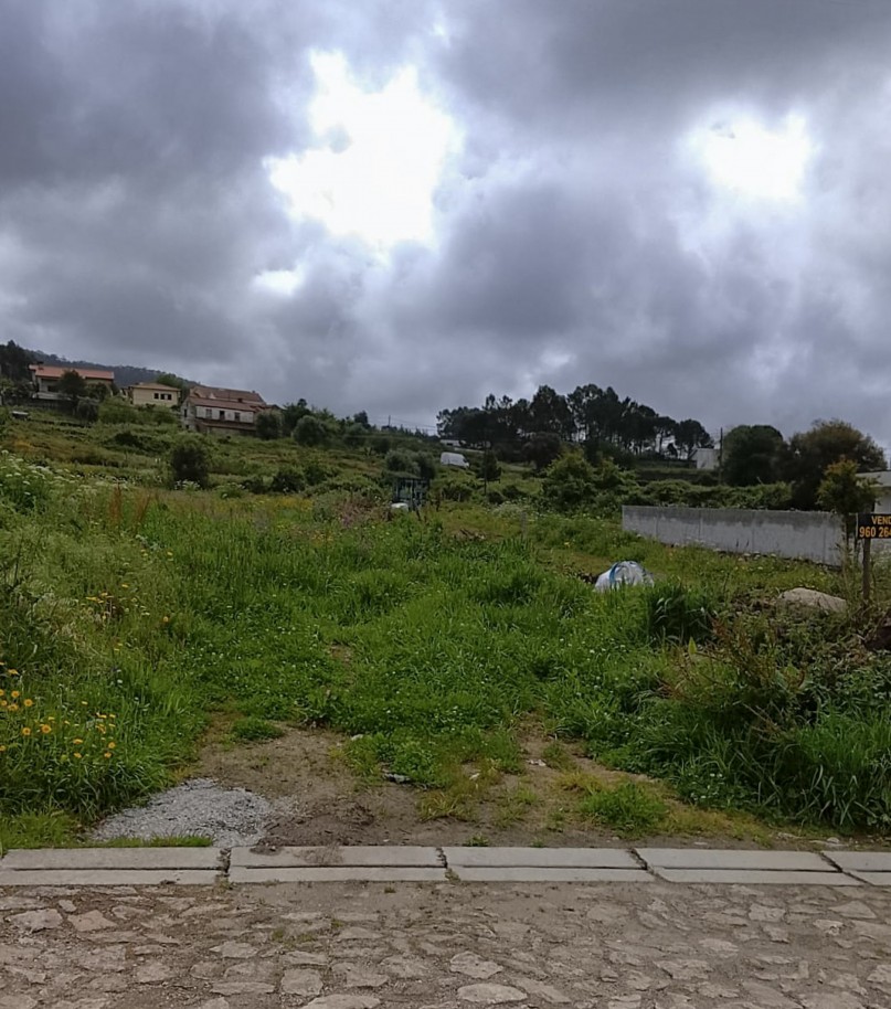 8-whatsapp-image-2026-04-23-at-10jpg