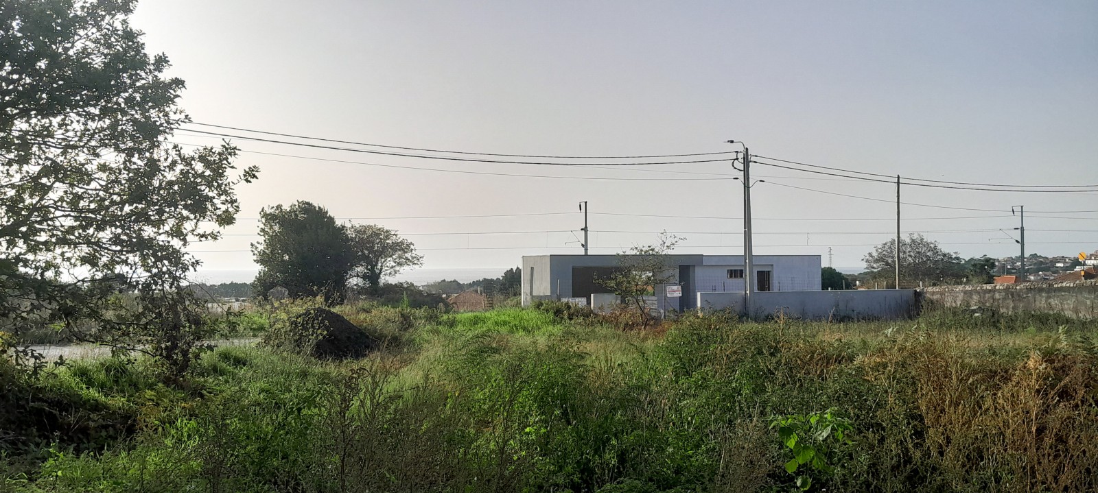 8-20241030-154451jpg