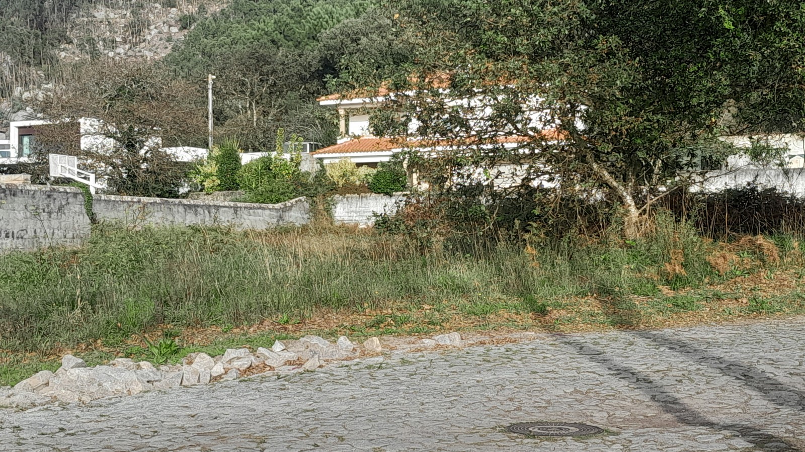 22-20241030-154253jpg