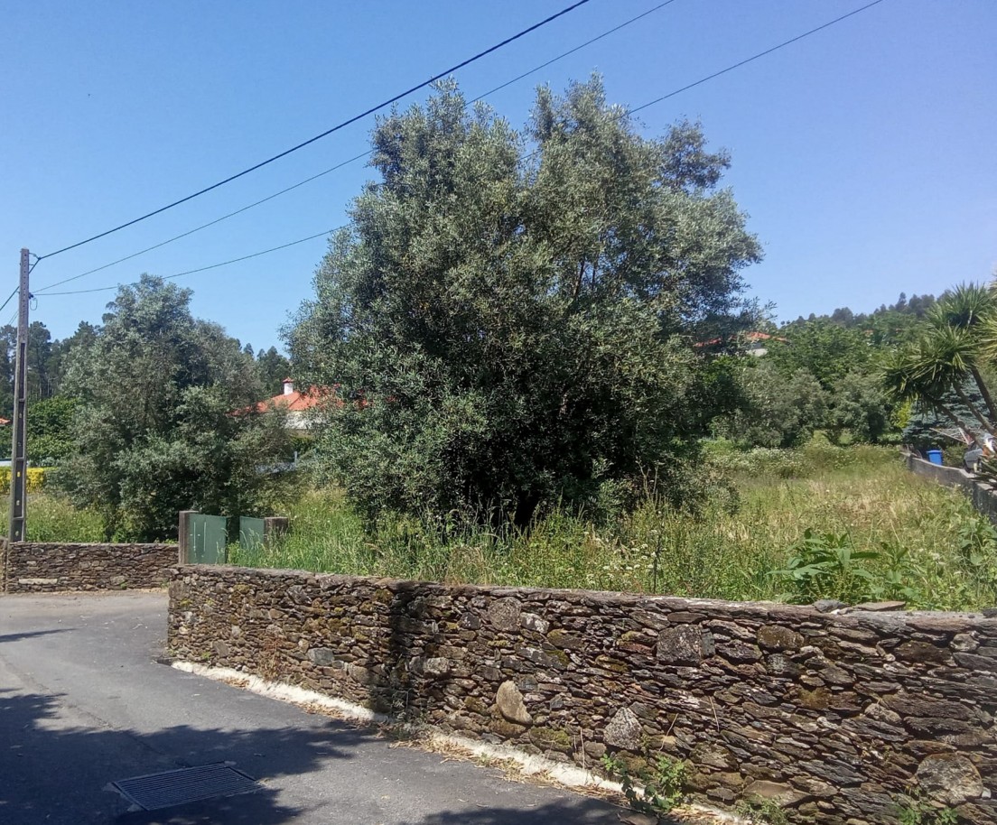 1-whatsapp-image-2026-05-25-at-15jpg
