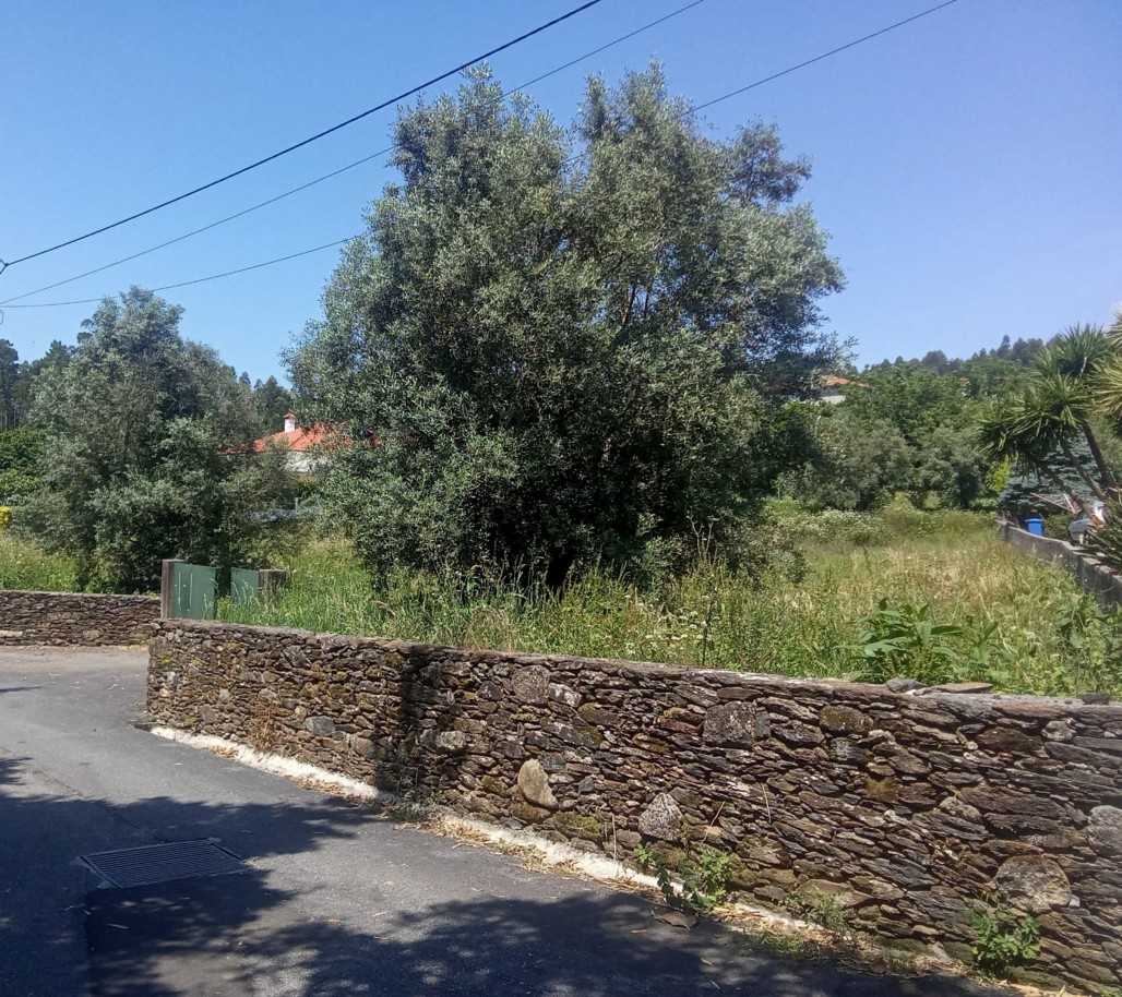 3-whatsapp-image-2026-05-25-at-15jpg