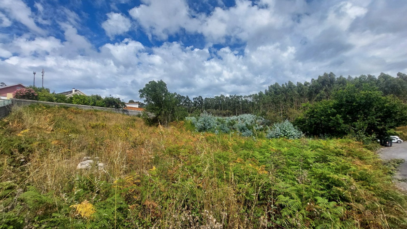 5-20260626-154721jpg