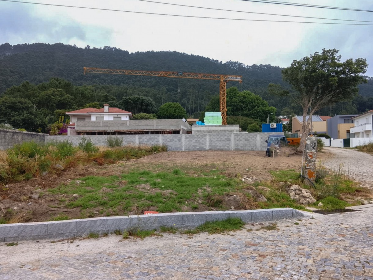 2-whatsapp-image-2026-07-09-at-13jpg