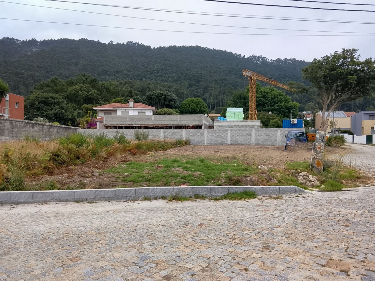 3-whatsapp-image-2026-07-09-at-13jpg