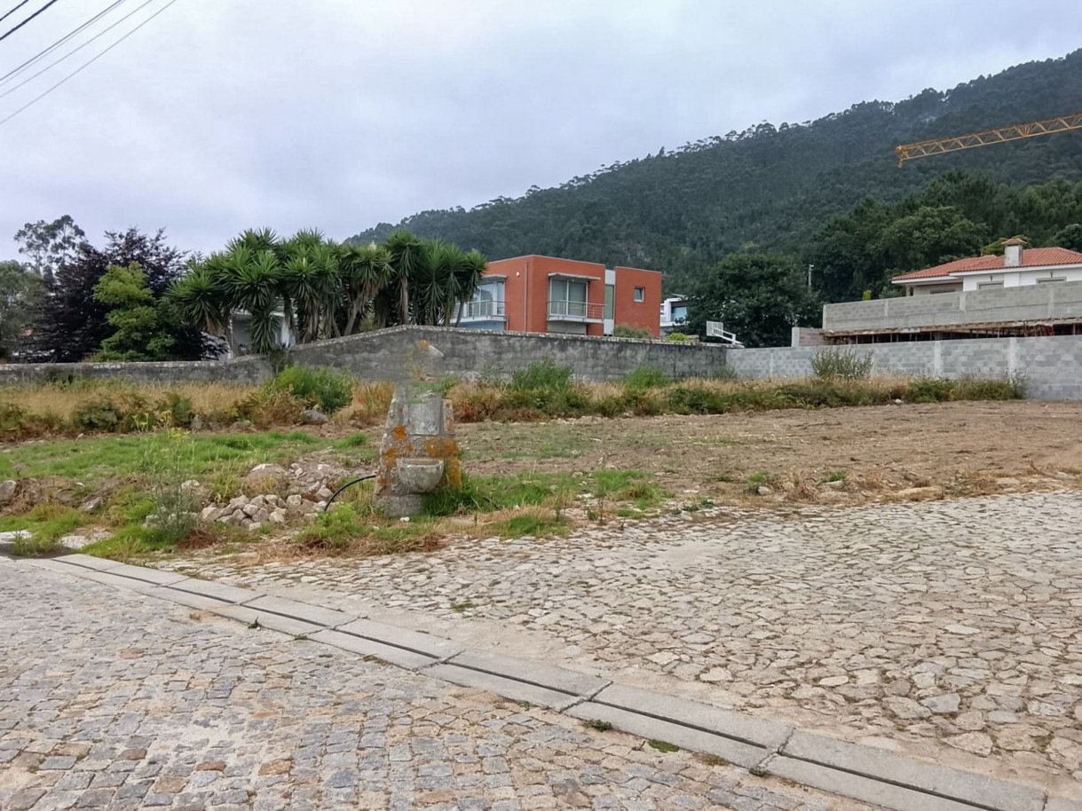 5-whatsapp-image-2026-07-09-at-13jpg
