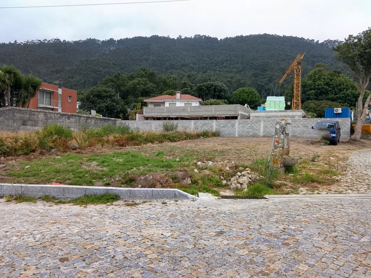 6-whatsapp-image-2026-07-09-at-13jpg