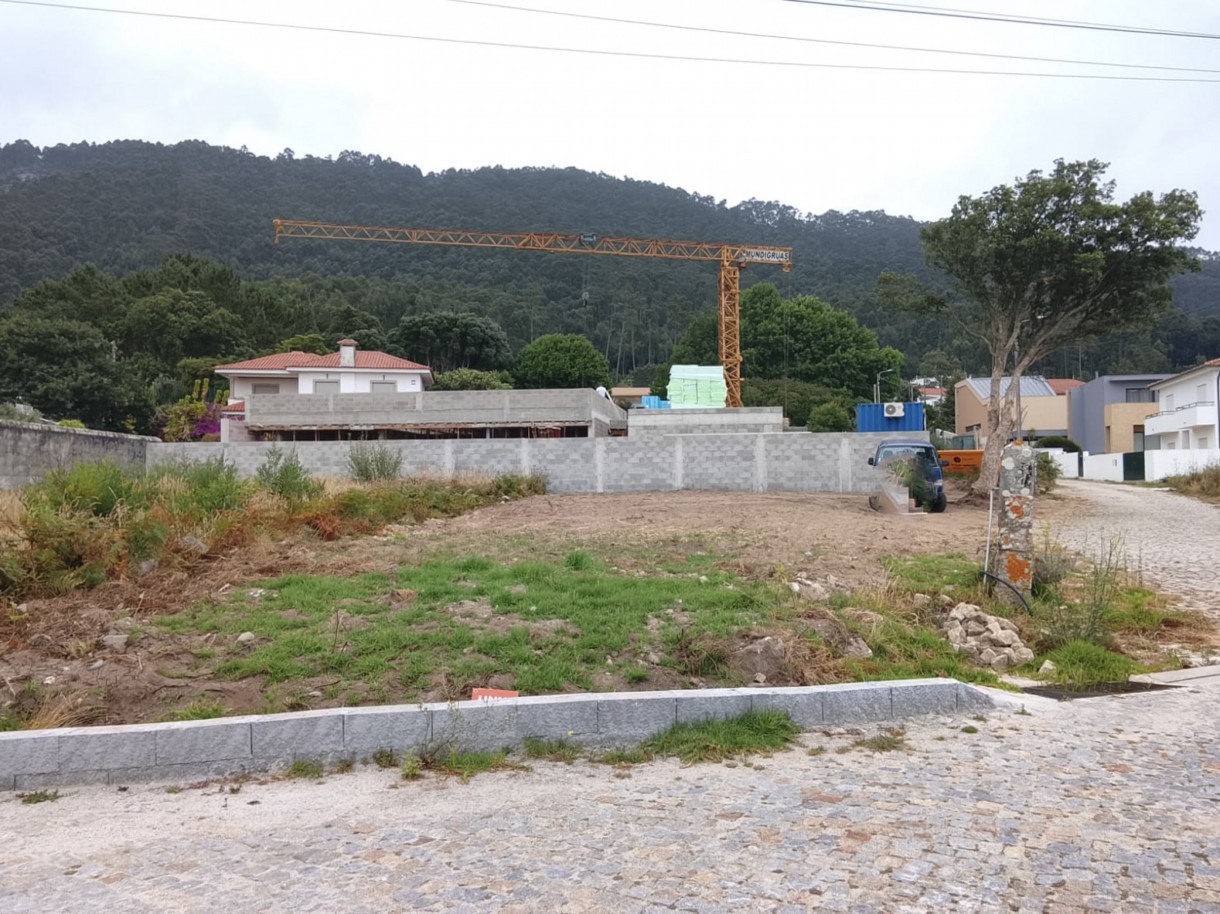 r-1jpg