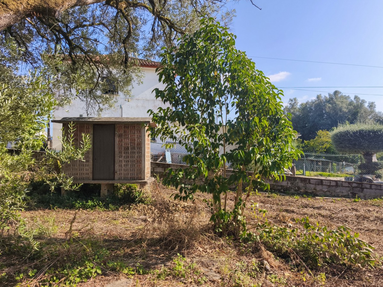 12-img-20260709-175657jpg