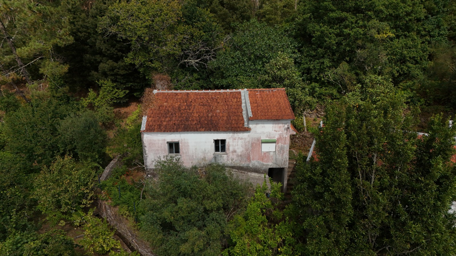 dji-20260706164005-0037-djpg