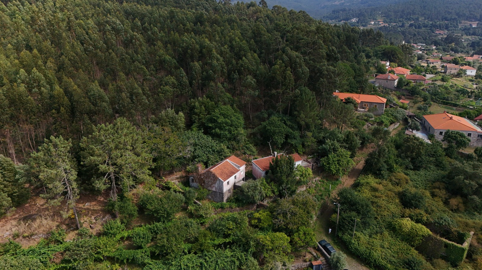 dji-20260706164109-0041-djpg