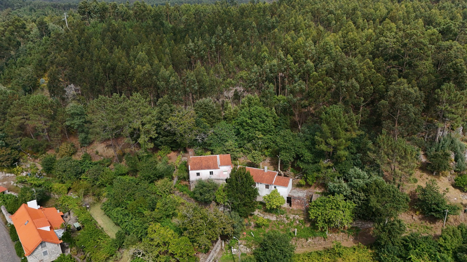 dji-20260706164040-0039-djpg