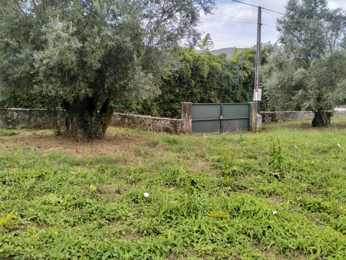 r2-4jpg