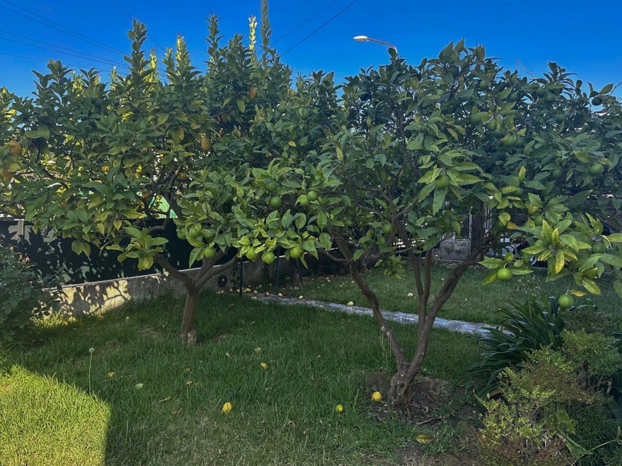 47-7fe13553-d83a-475d-868f-ad96096bd114jpg