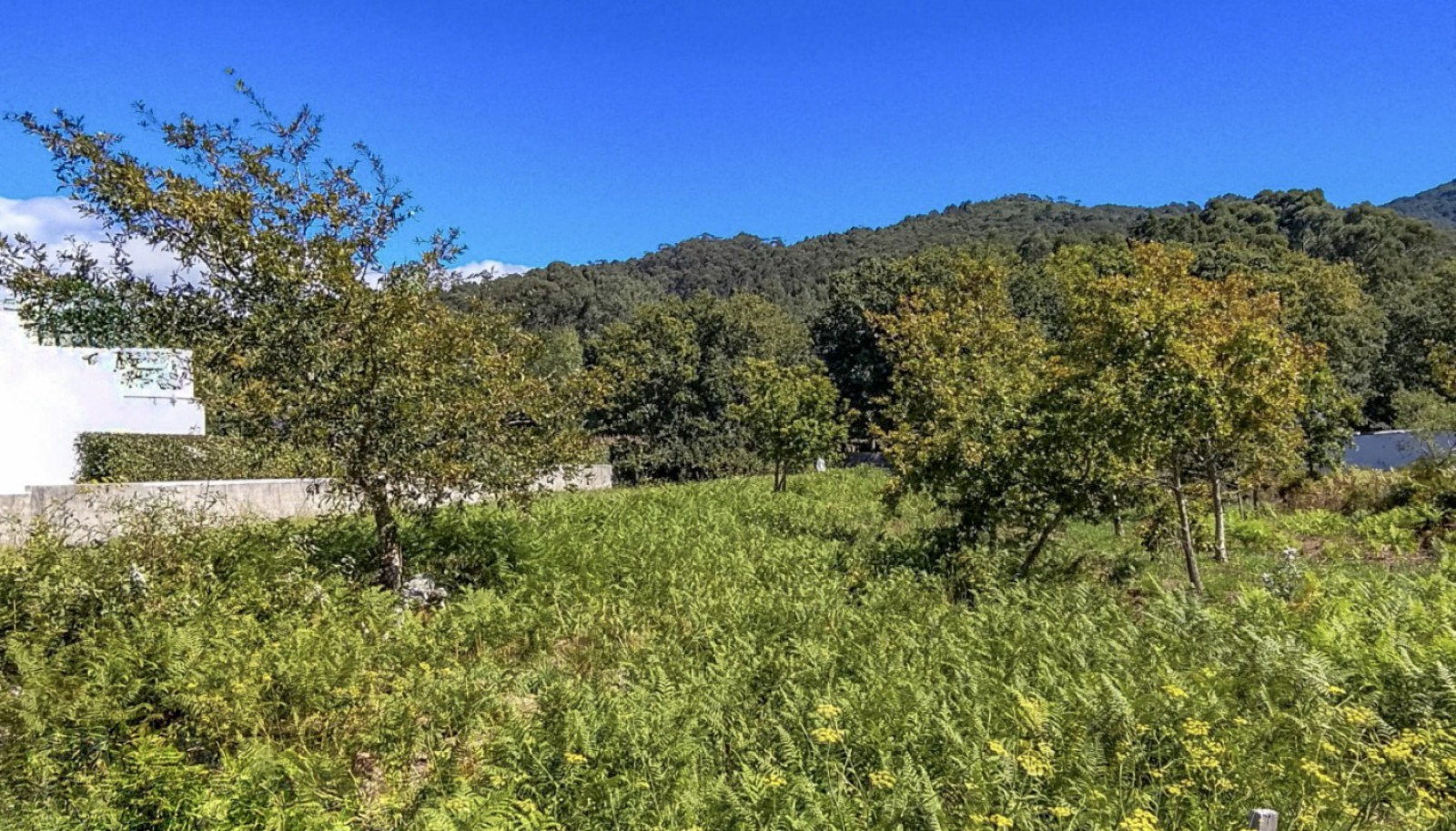 6-prod-819369-lgjpg