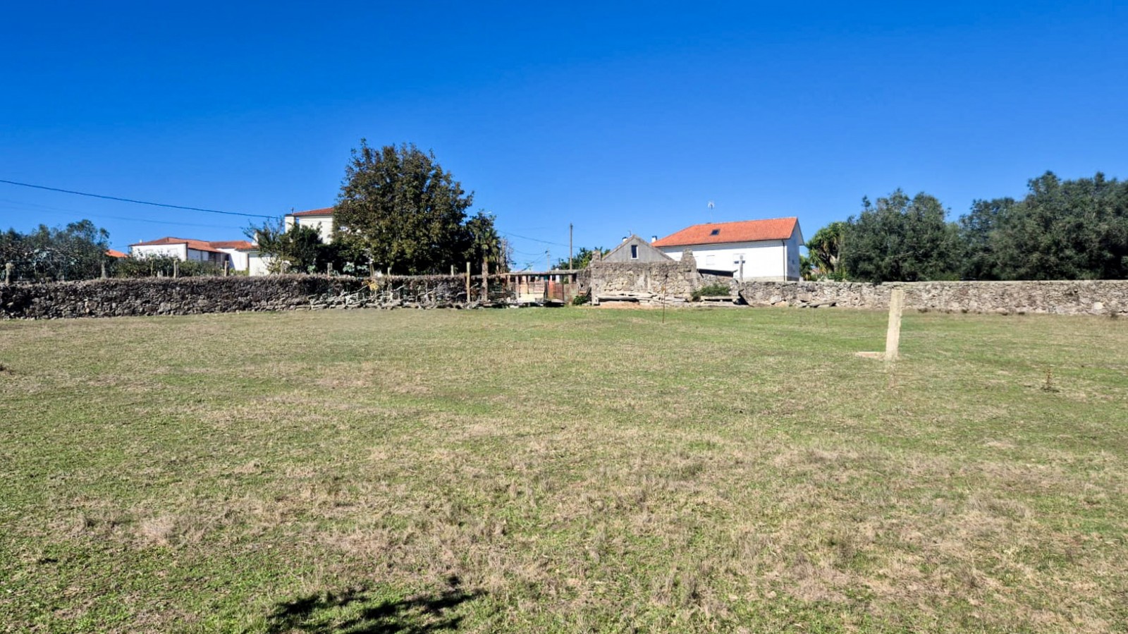 13-949b34a5-5939-4cc3-8311-64f2bd686d2ejpg