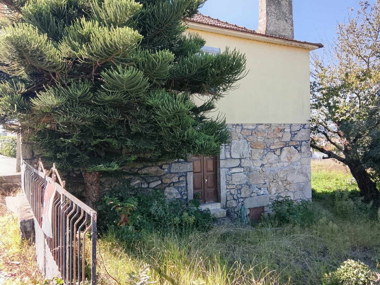whatsapp-image-2026-10-27-at-095829-2jpeg
