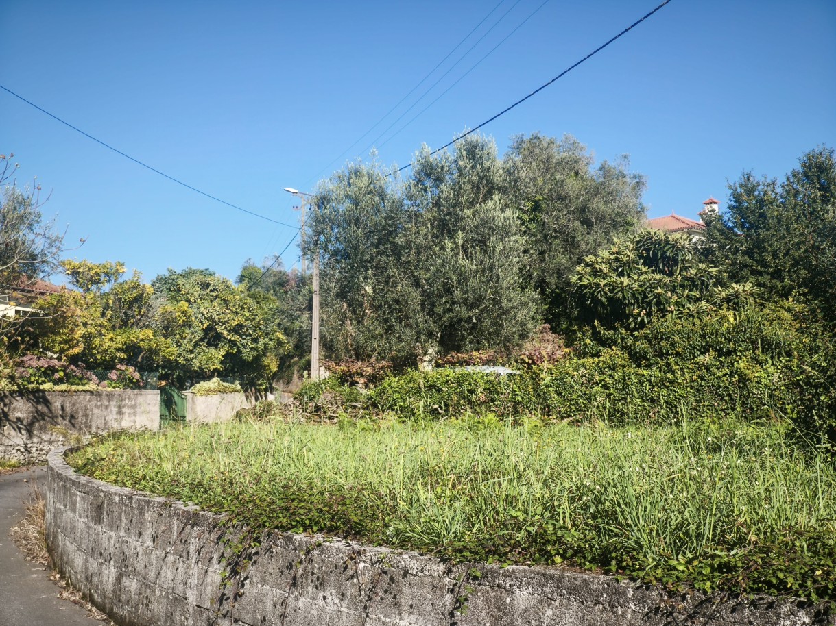 5-mvimg-20261026-150459jpg
