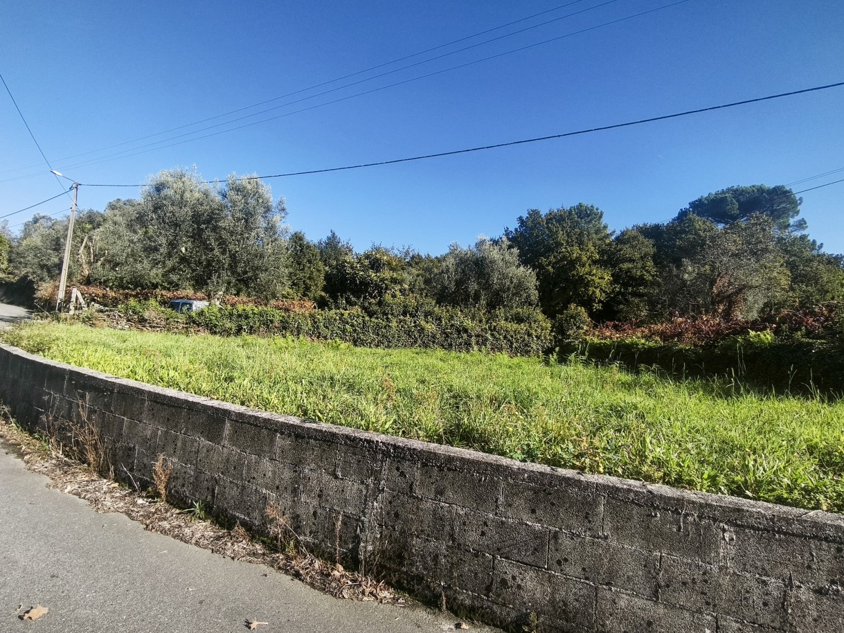 11-mvimg-20261026-145125jpg