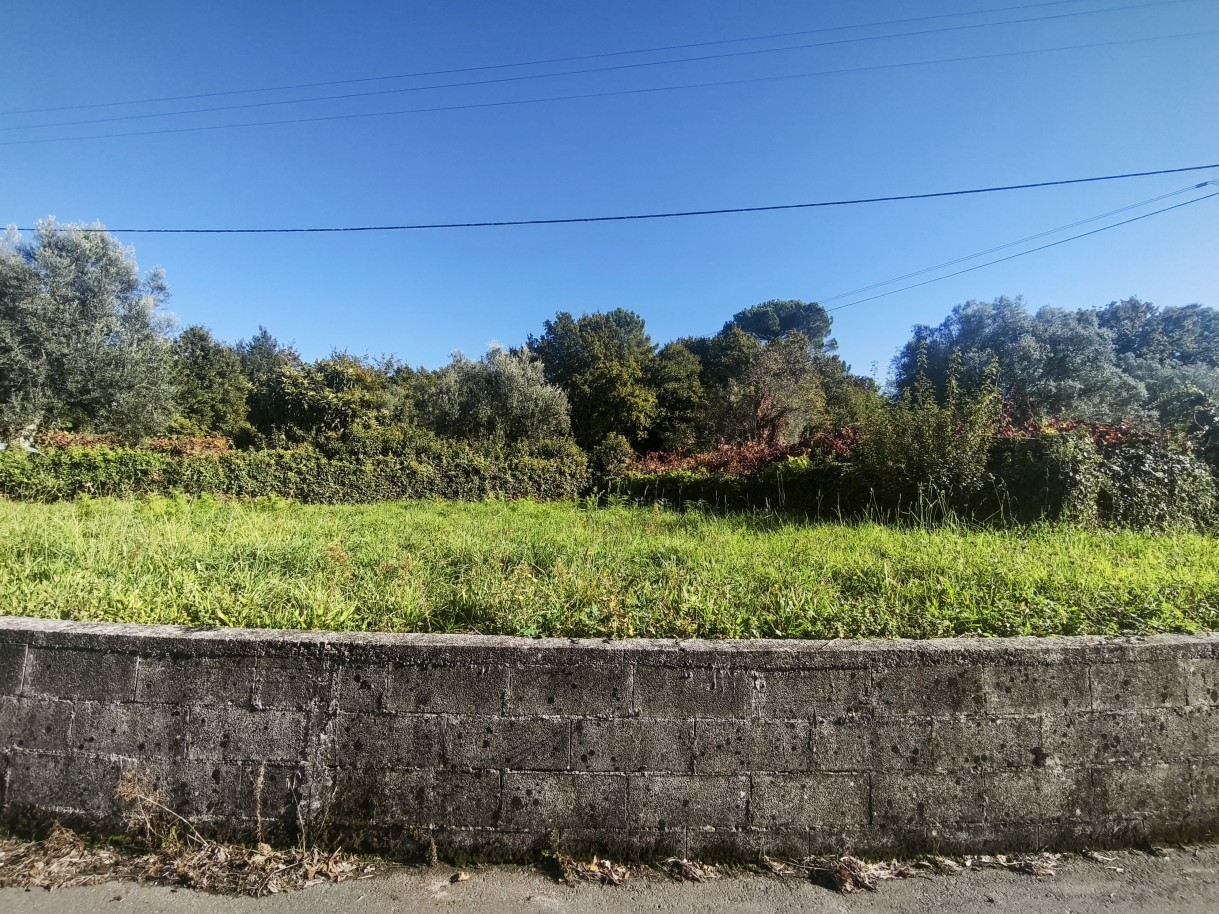 12-mvimg-20261026-145122jpg