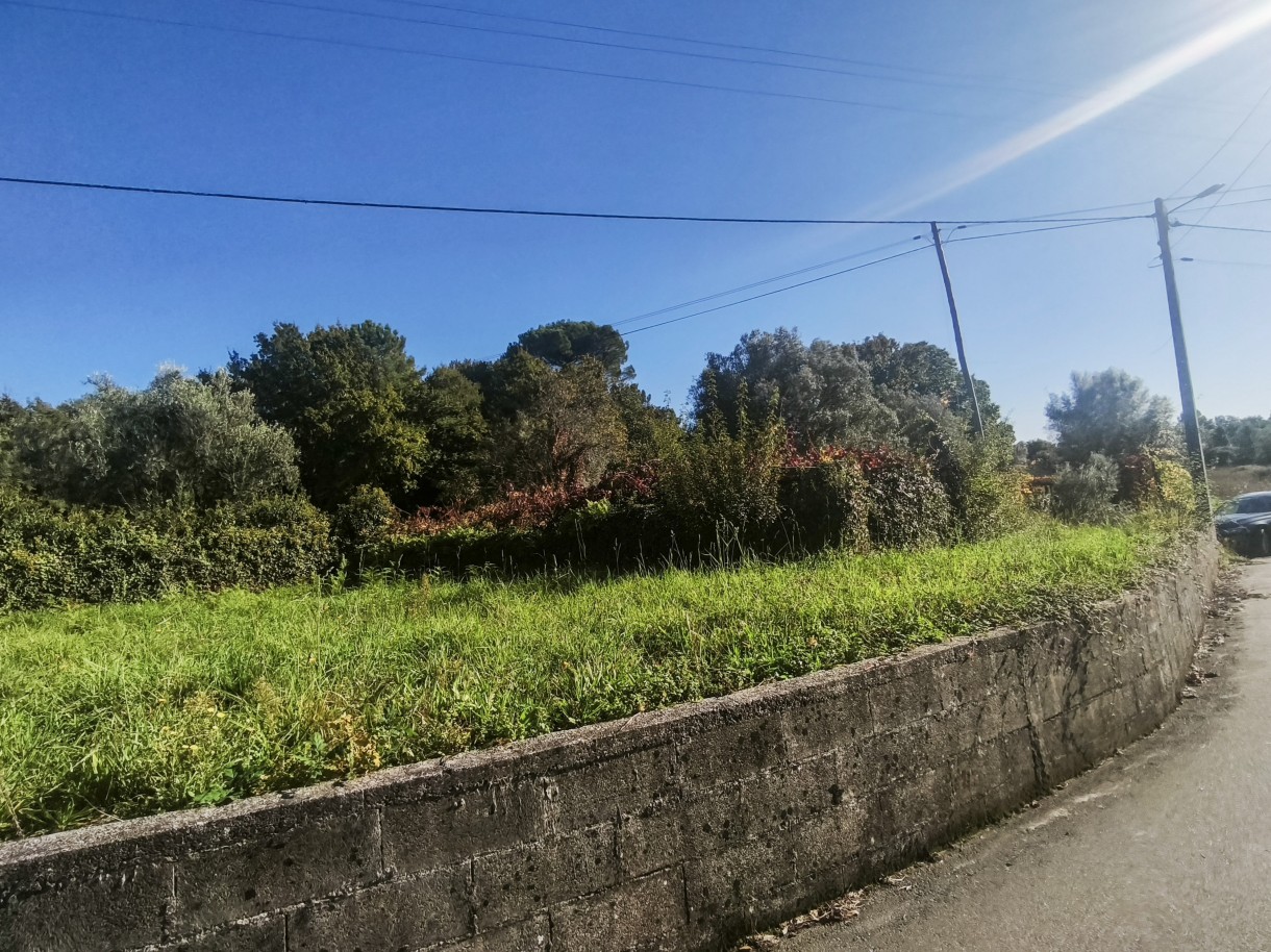 13-mvimg-20261026-145120jpg