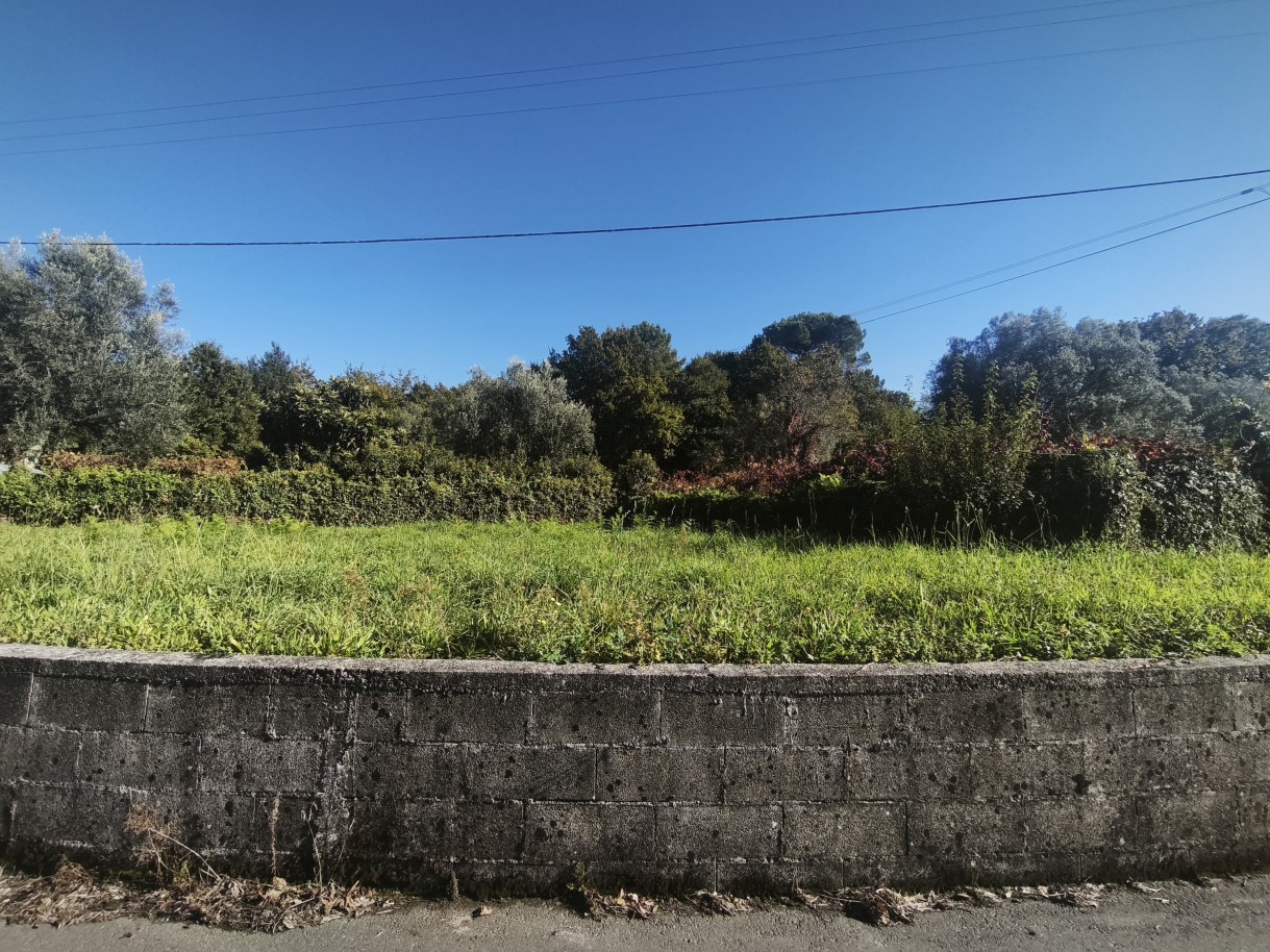 mvimg-20261026-145122jpg